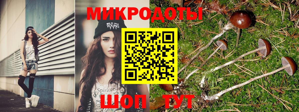 Галлюциногенные грибы мицелий  Вход с VPN  Мыски  Псилоцибиновые грибы GOLDEN TEACHER 