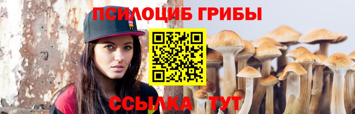 Псилоцибиновые грибы MAGIC MUSHROOMS Мыски